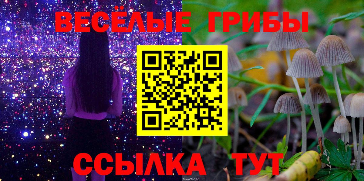 Кирово-Чепецк  Псилоцибиновые грибы мухоморы  Вход с VPN 